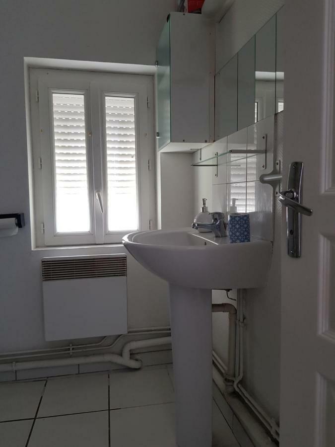 דיז'ון Cosy Appartement Chaleureux Proche Centre Ville מראה חיצוני תמונה